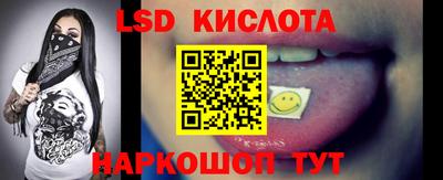 PSILOCYBIN Гатчина