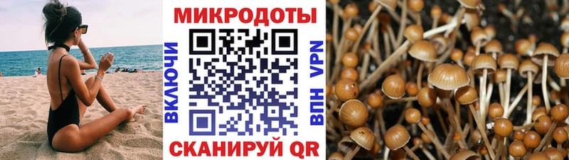 Псилоцибиновые грибы прущие грибы  Грязи 