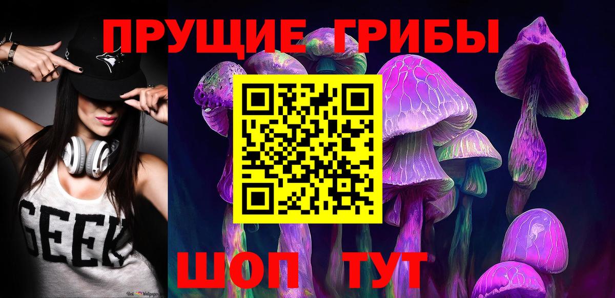 Псилоцибиновые грибы GOLDEN TEACHER Грязи