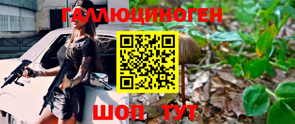 Псилоцибиновые грибы Magic Shrooms  Галлюциногенные грибы Psilocybine cubensis  Вход с VPN  Грязи 